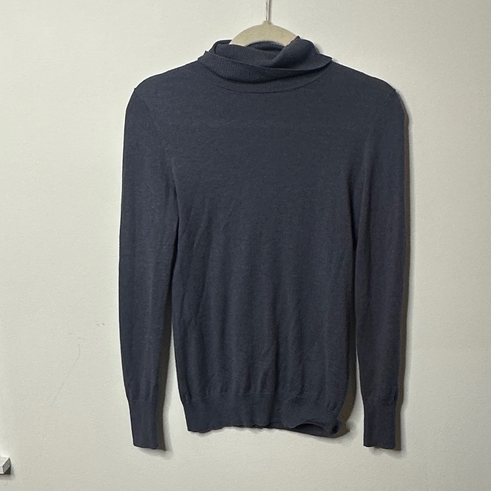 Banana Republic Silk Blend Turtleneck